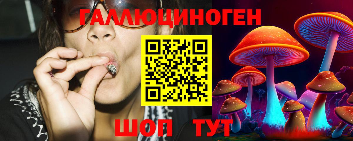 Псилоцибиновые грибы Psilocybine cubensis Лысьва