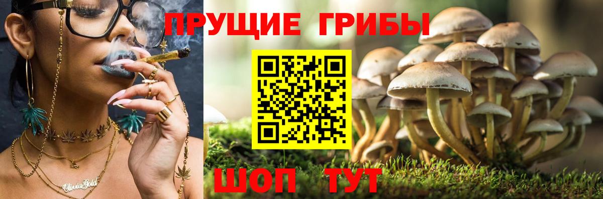 Лысьва  Галлюциногенные грибы Psilocybine cubensis  где купить наркотик  Вход с VPN  Псилоцибиновые грибы Cubensis 